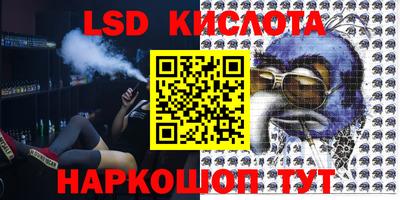 стаф Будённовск