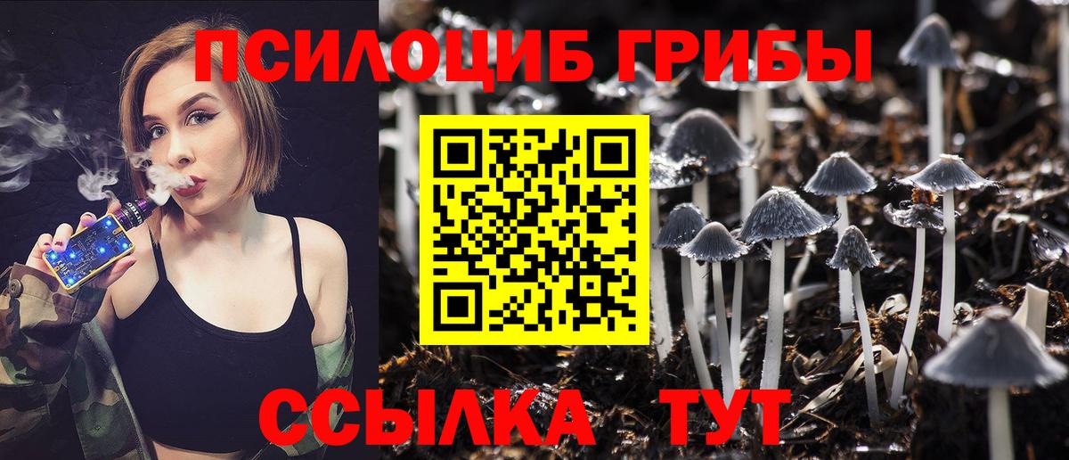 Холмск  Псилоцибиновые грибы MAGIC MUSHROOMS  Галлюциногенные грибы ЛСД  Вход с VPN 